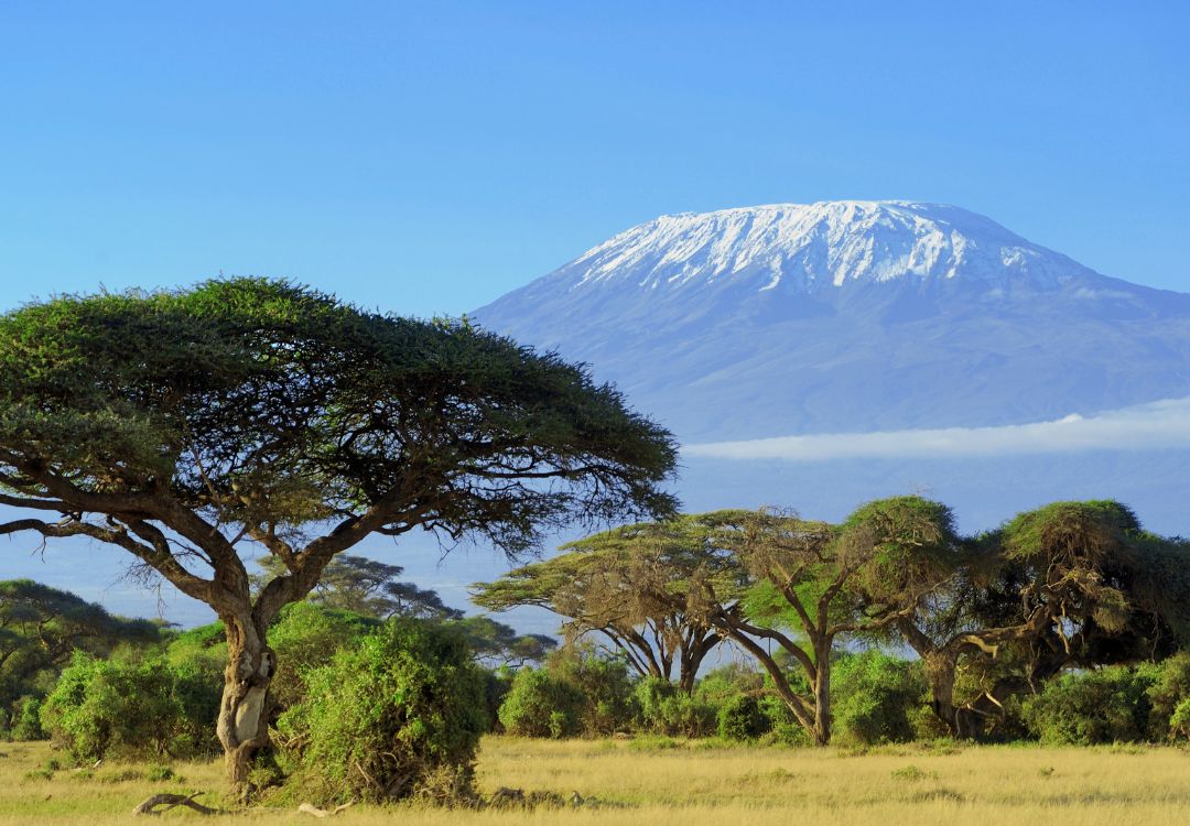 sometimes in africa kilimanjaro(28)