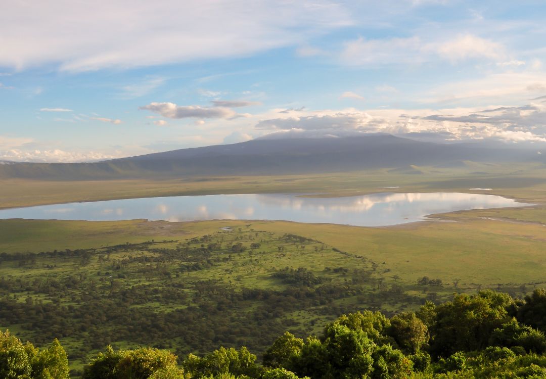 sometimes in africa ngorongoro(2)