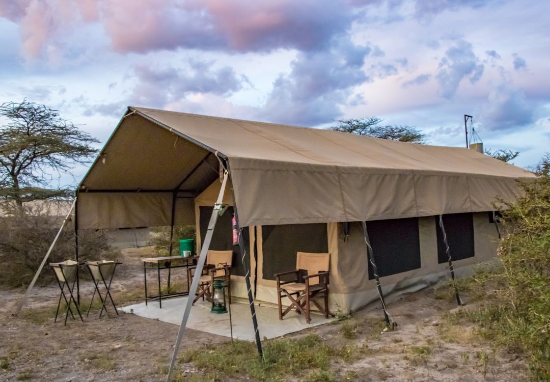 sometimes in africa serengeti(2)