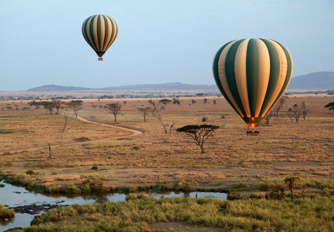 sometimes in africa serengeti(3)