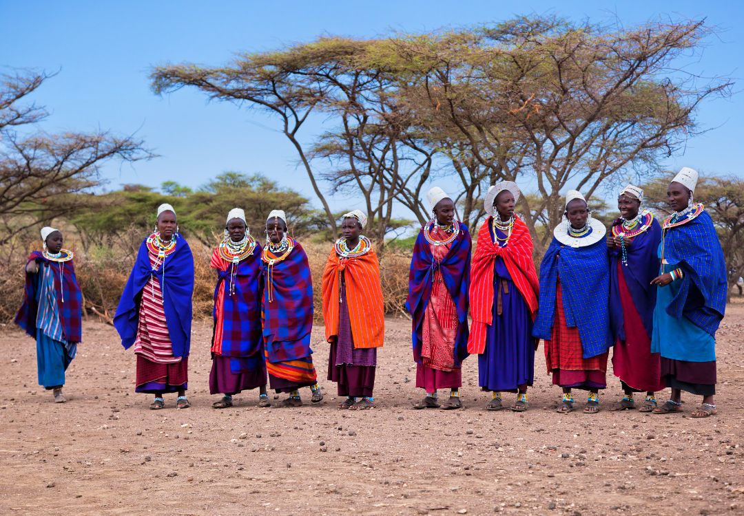 sometimes in africa serengeti(5)