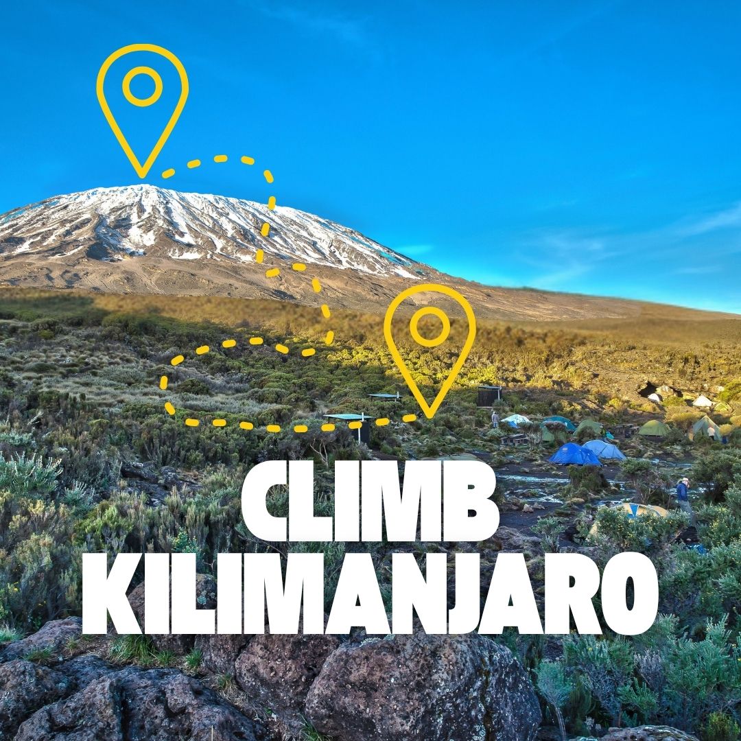 sometimes in africa kilimanjaro(1)