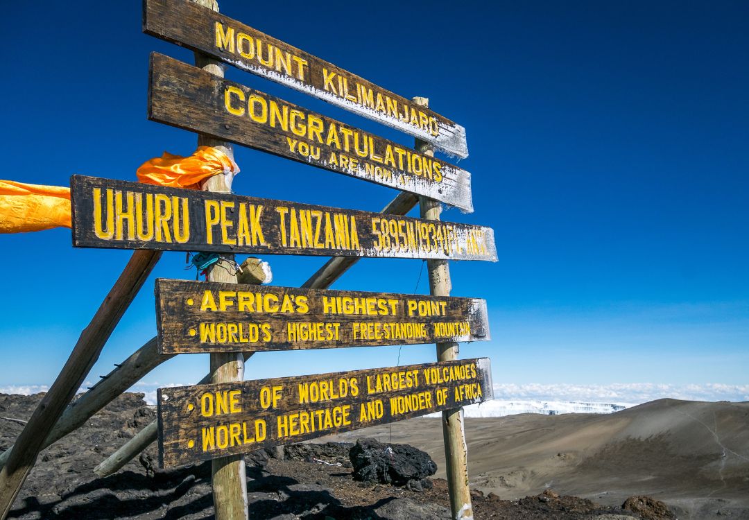 sometimes in africa kilimanjaro(16)