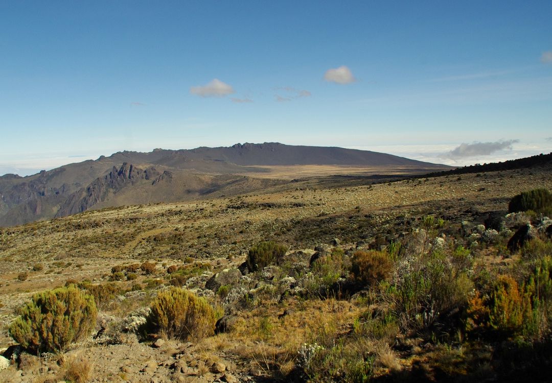sometimes in africa kilimanjaro(2)