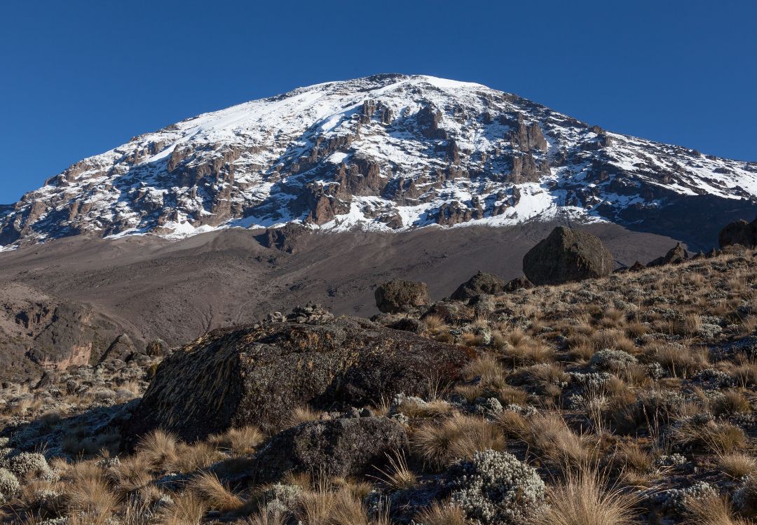 sometimes in africa kilimanjaro(6)