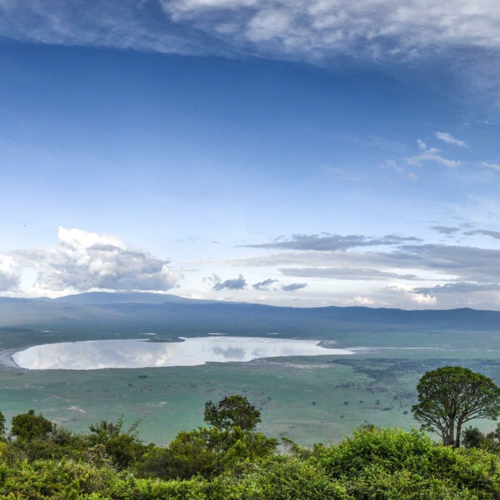 sometimes in africa ngorongoro
