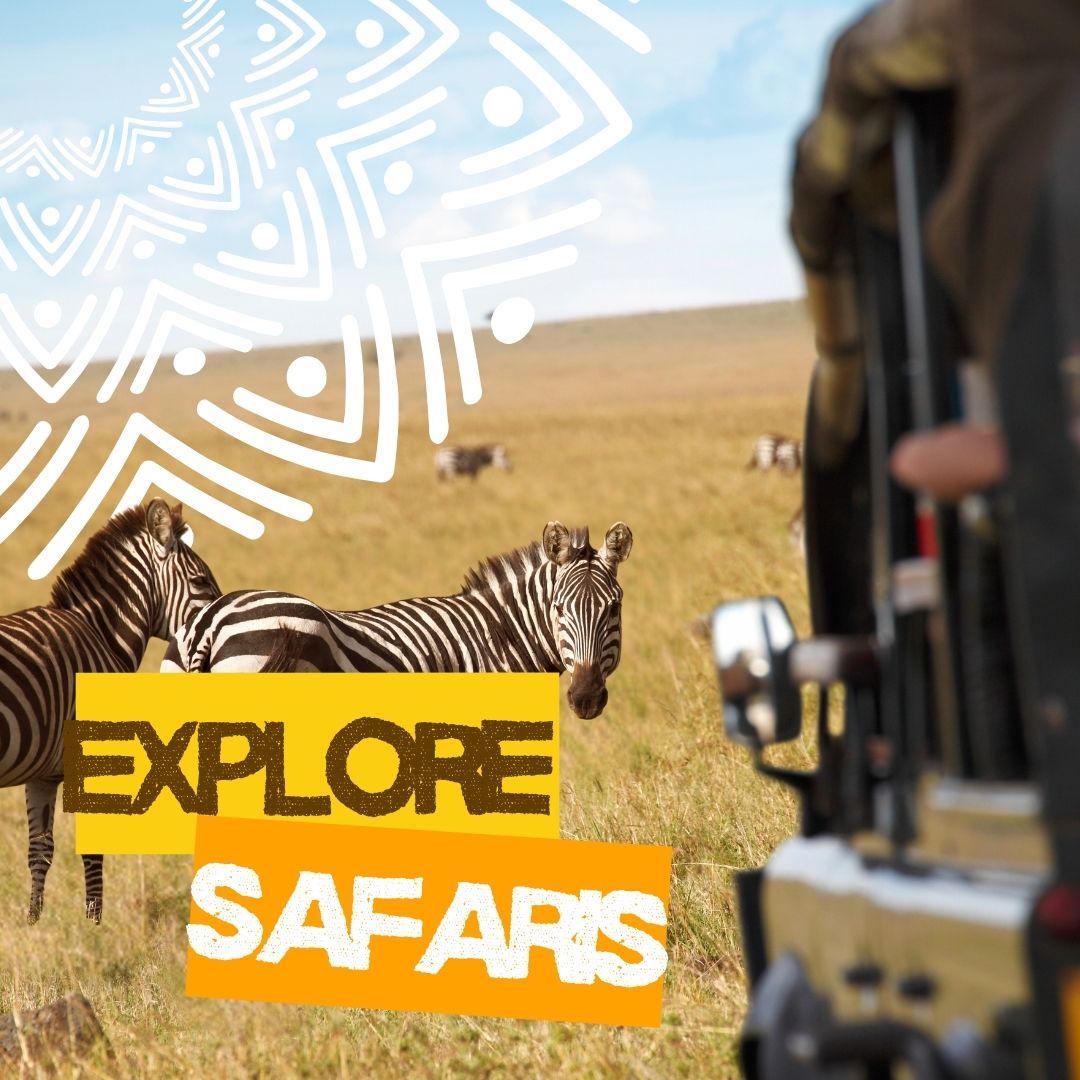 sometimes in africa safaris(2)