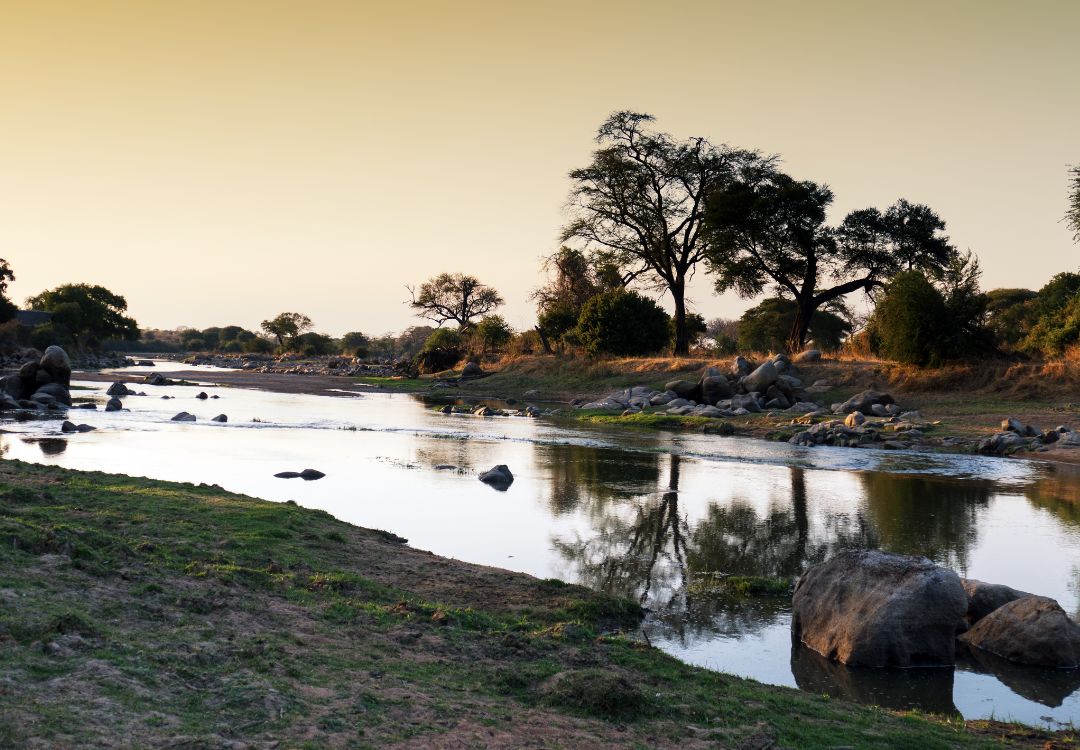 sometimes in africa(14)