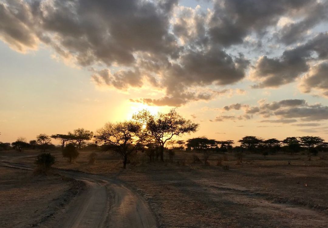 sometimes in africa(15)