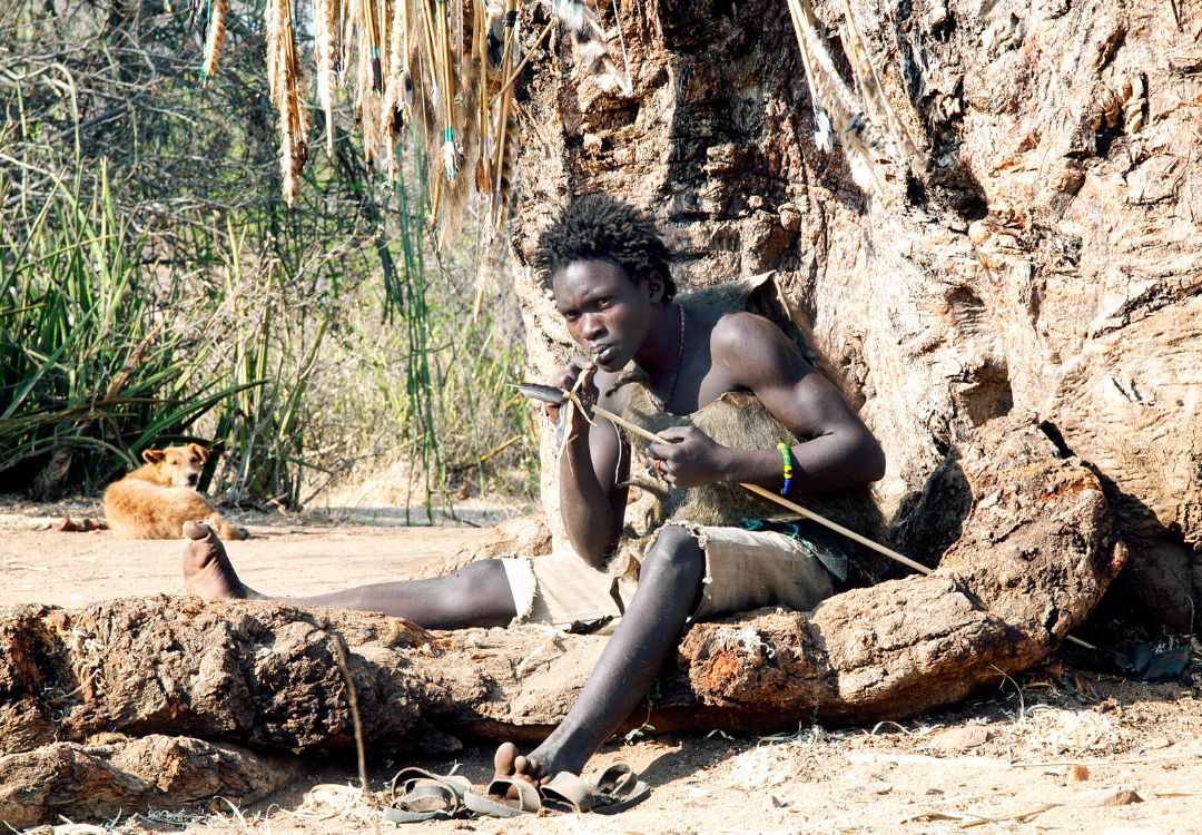 sometimes in africa(15)