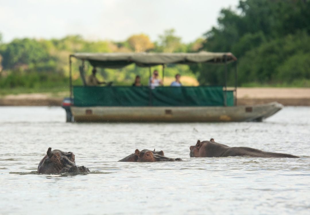 sometimes in africa(17)