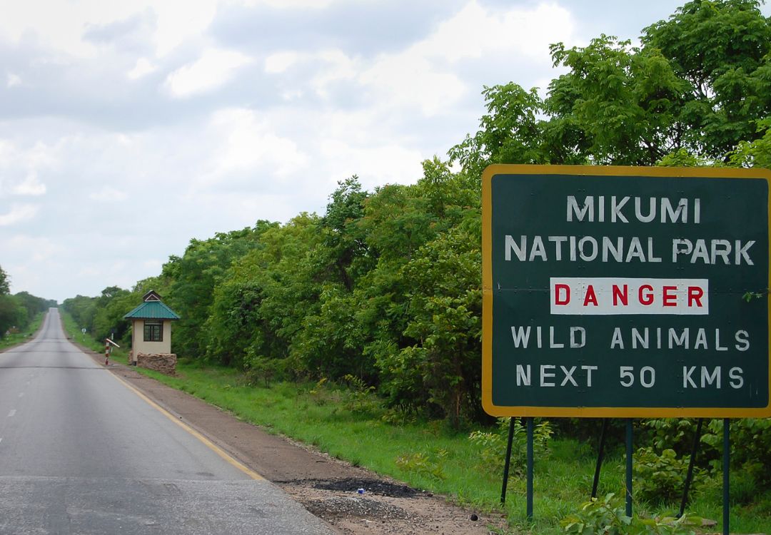 sometimes in africa(21)