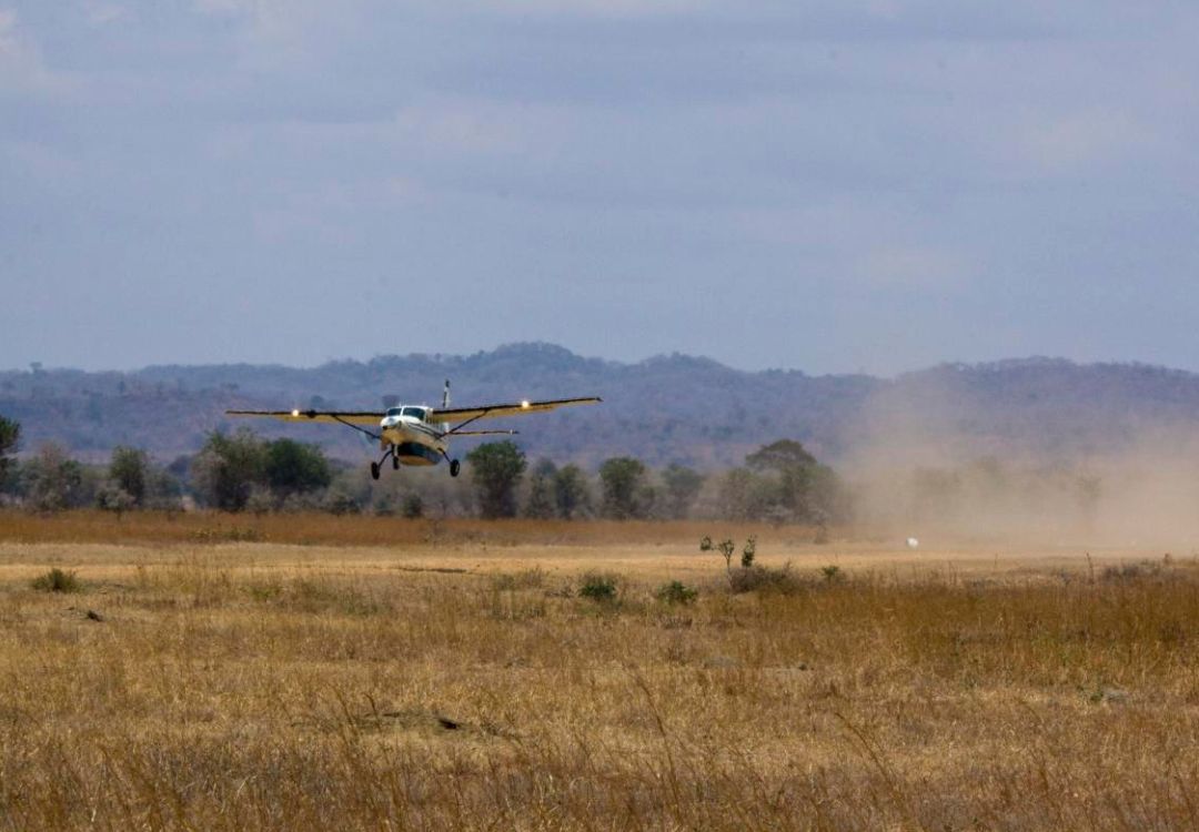 sometimes in africa(22)