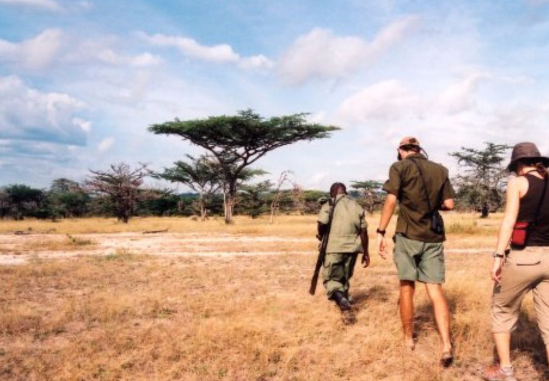 sometimes in africa(26)