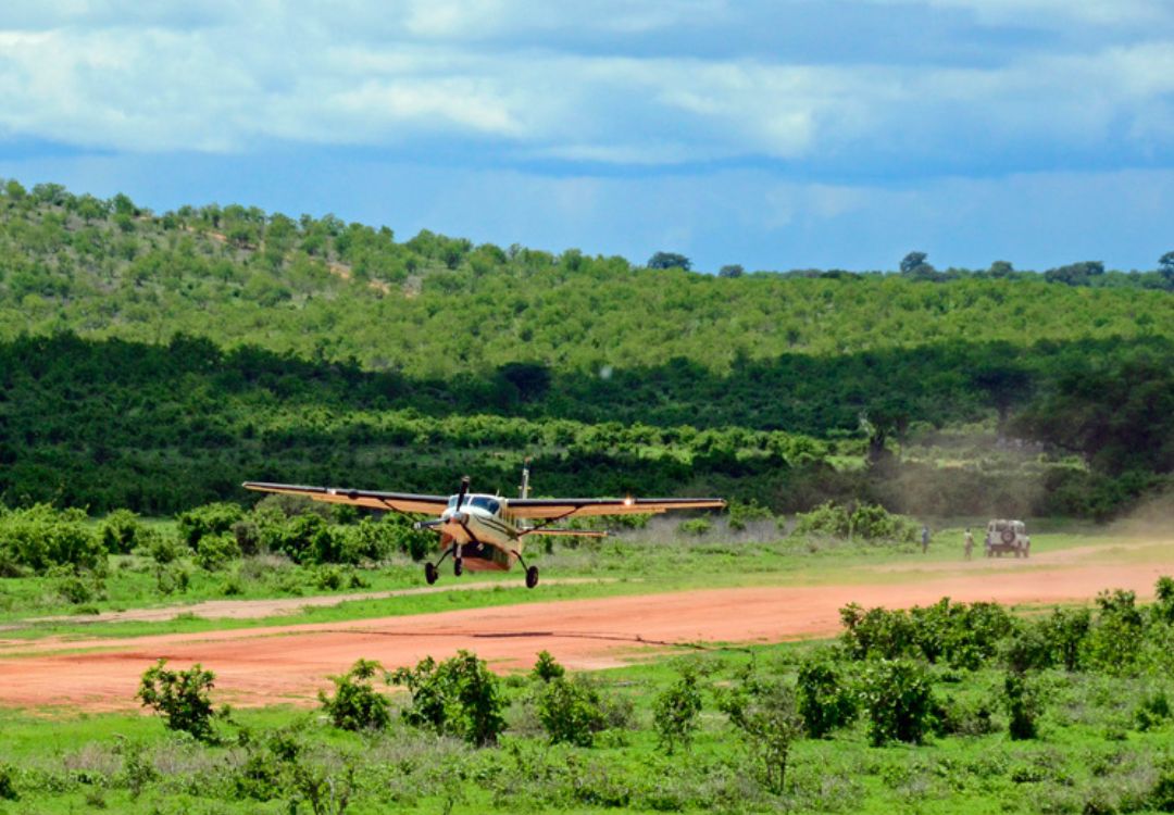 sometimes in africa(27)