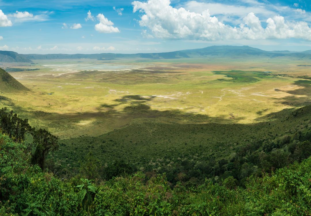 sometimes in africa(27)