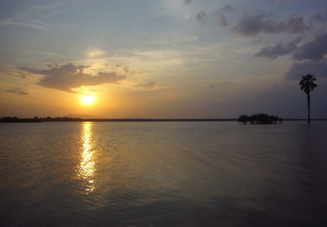 sometimes in africa(29)