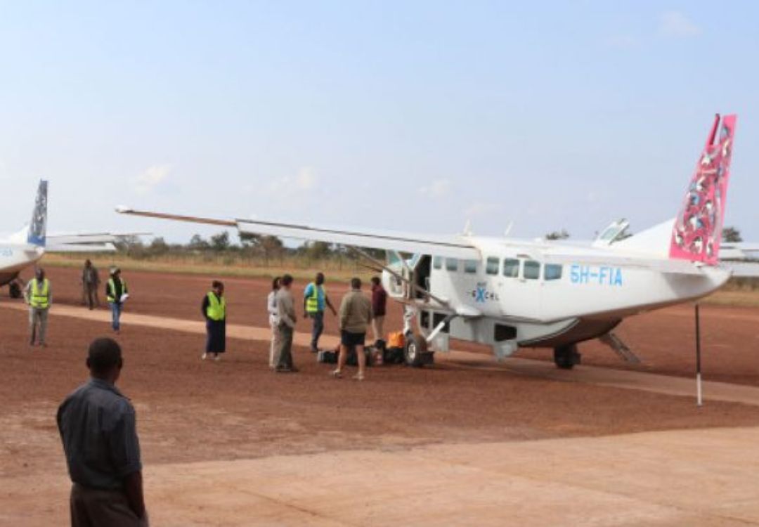 sometimes in africa(5)