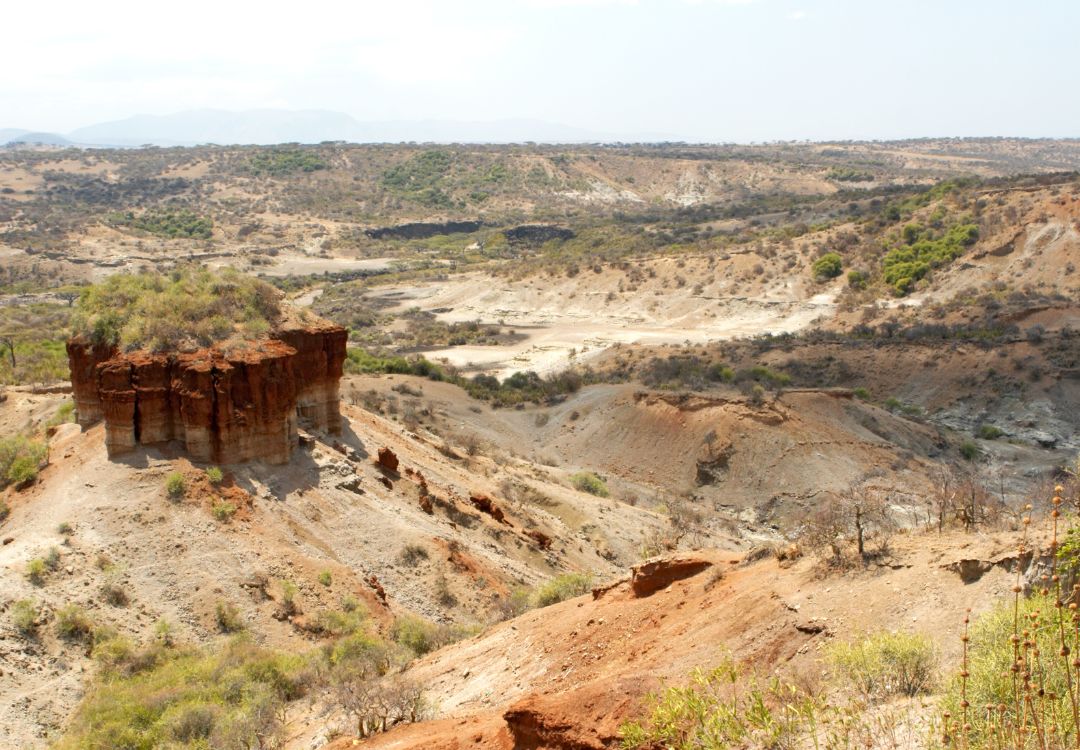 sometimes in africa(81)