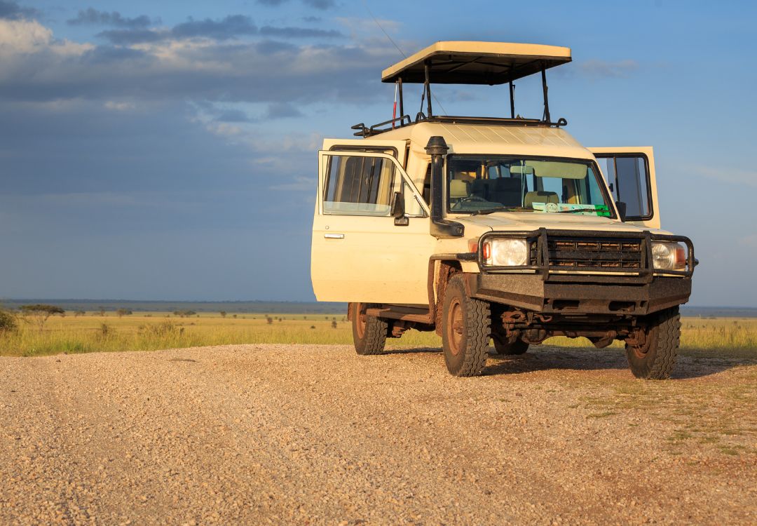 sometimes in africa(9)